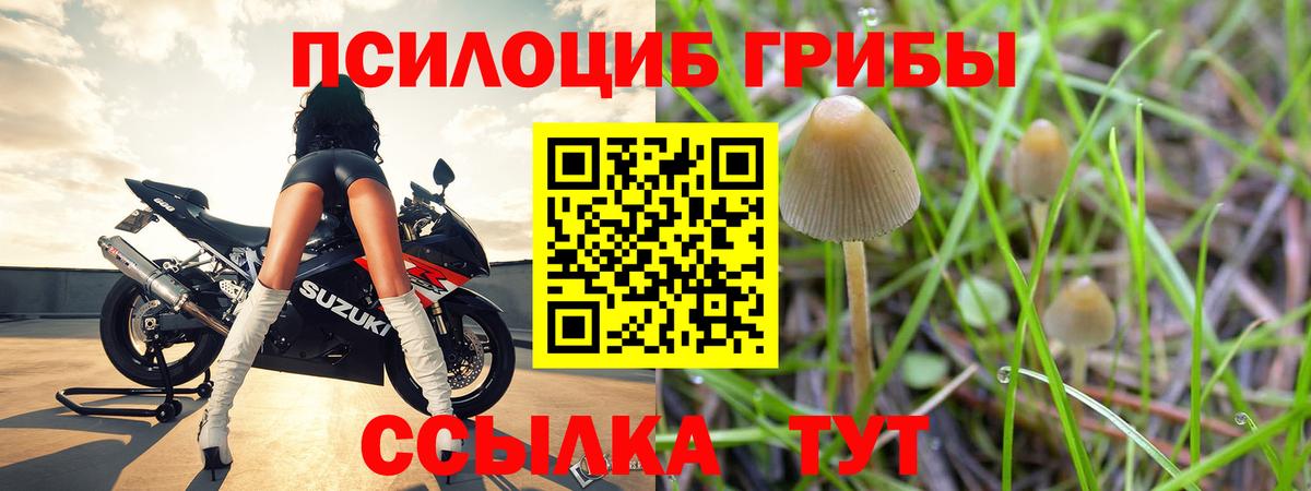 Галлюциногенные грибы MAGIC MUSHROOMS  Вход с VPN  Галлюциногенные грибы ЛСД  Кыштым 