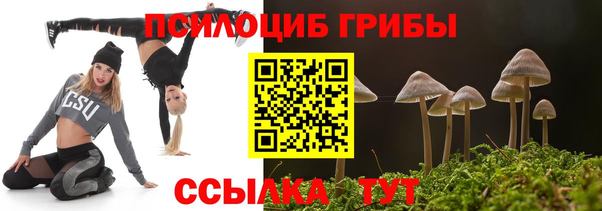 Галлюциногенные грибы Psilocybe Кыштым